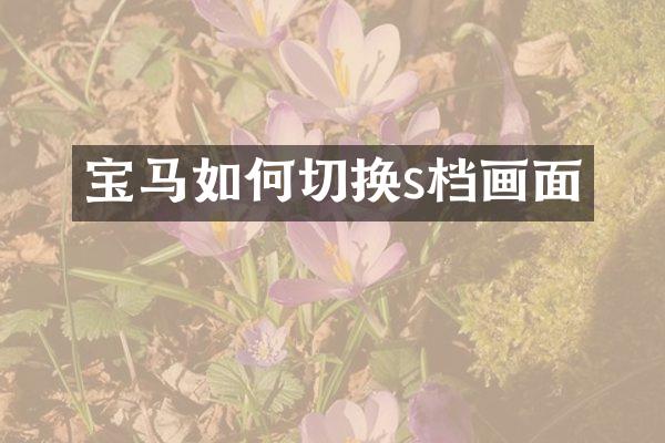 宝马如何切换s档画面