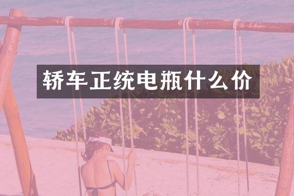 轿车正统电瓶什么价