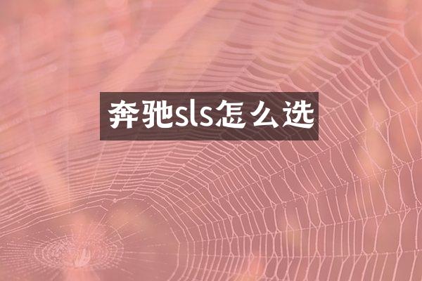 奔驰sls怎么选
