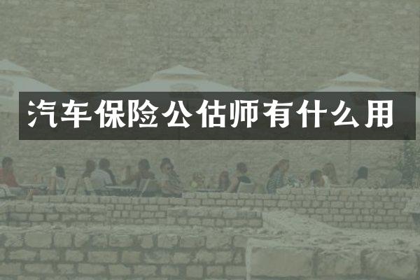 汽车保险公估师有什么用