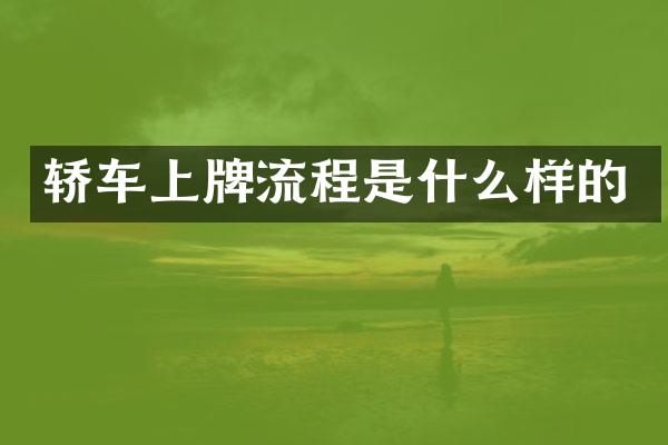 轿车上牌流程是什么样的