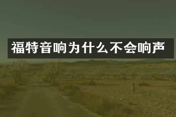 福特音响为什么不会响声