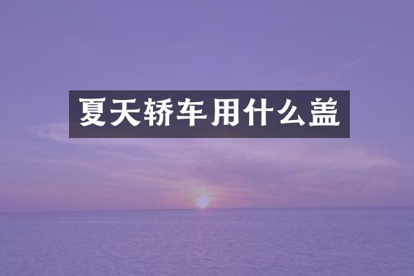 夏天轿车用什么盖