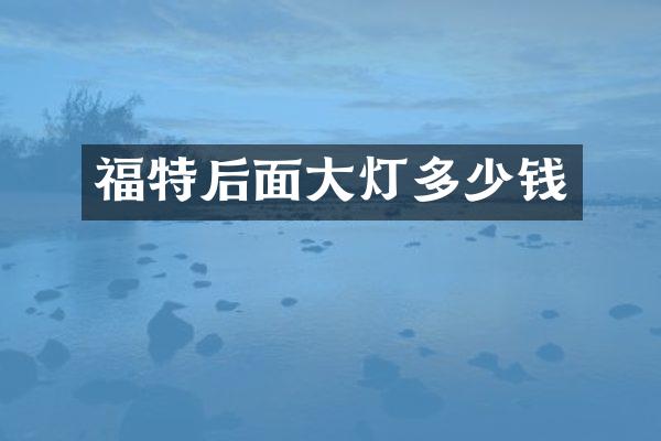 福特后面大灯多少钱