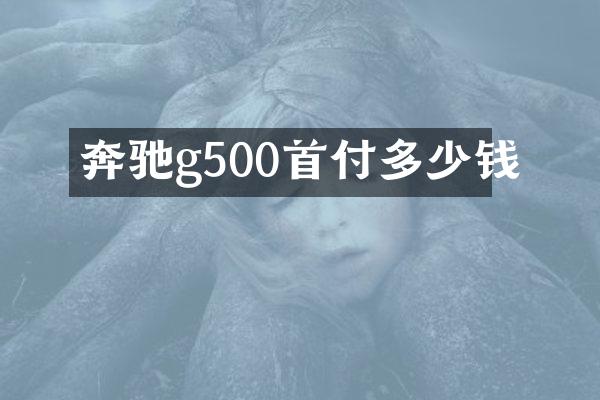 奔驰g500首付多少钱
