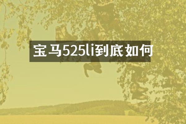 宝马525li到底如何