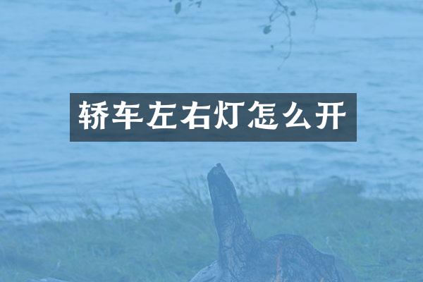 轿车左右灯怎么开