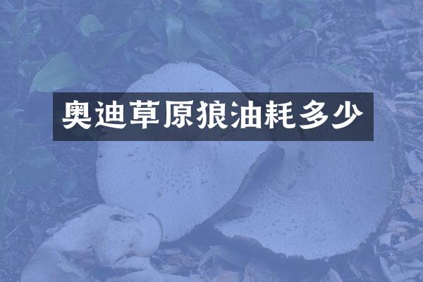 奥迪草原狼油耗多少
