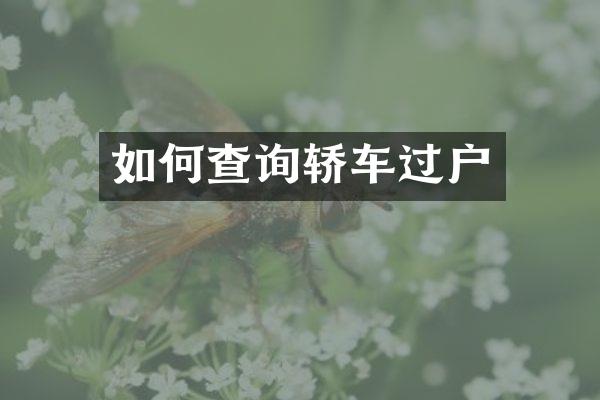如何查询轿车过户