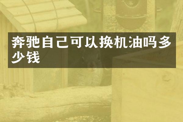 奔驰自己可以换机油吗多少钱