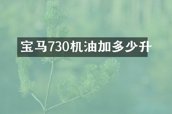 宝马730机油加多少升