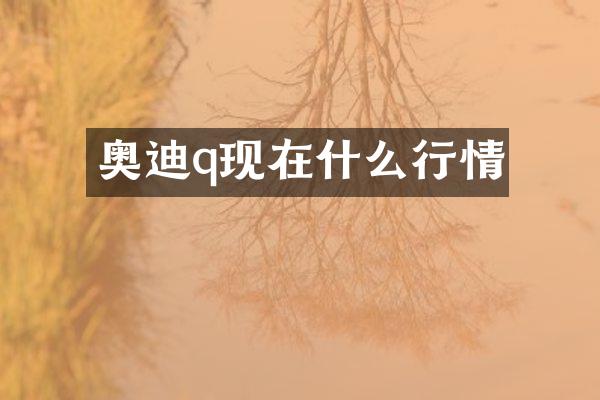 奥迪q现在什么行情