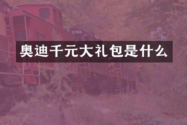 奥迪千元大礼包是什么