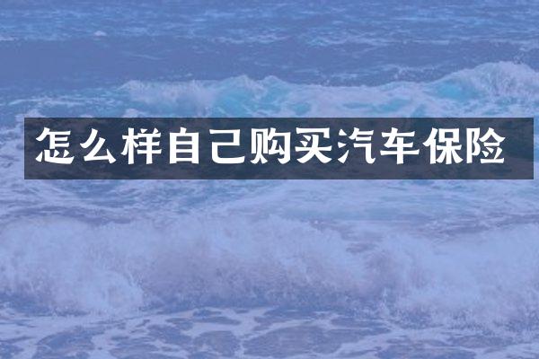 怎么样自己购买汽车保险