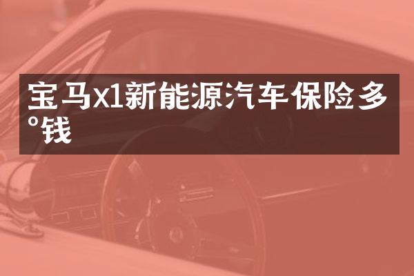 宝马x1新能源汽车保险多少钱