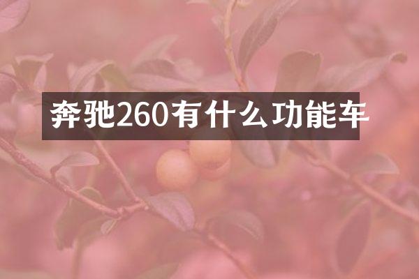 奔驰260有什么功能车