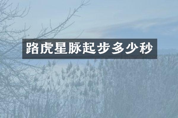 路虎星脉起步多少秒