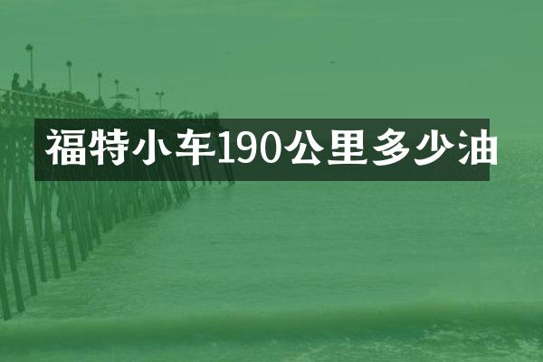 福特小车190公里多少油