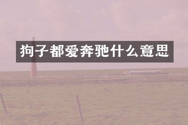 狗子都爱奔驰什么意思