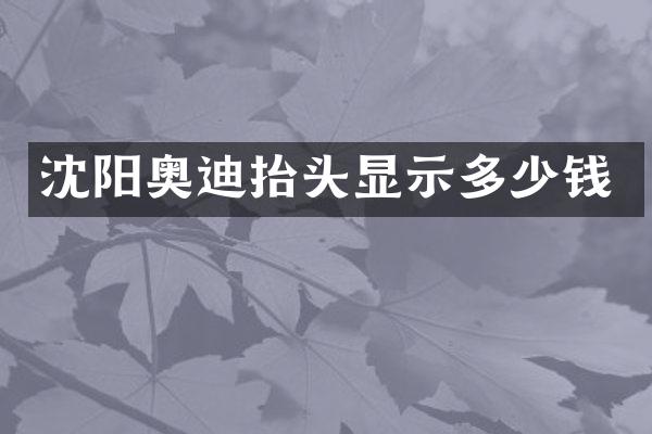 沈阳奥迪抬头显示多少钱