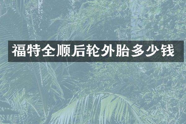 福特全顺后轮外胎多少钱