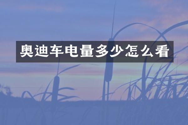 奥迪车电量多少怎么看