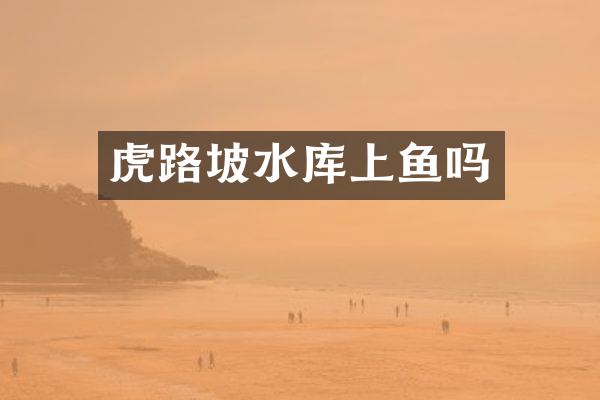 虎路坡水库上鱼吗