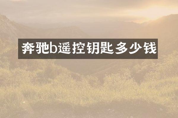 奔驰b遥控钥匙多少钱