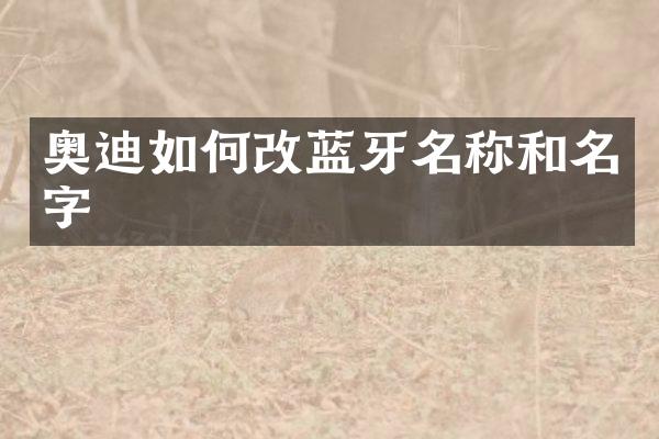 奥迪如何改蓝牙名称和名字