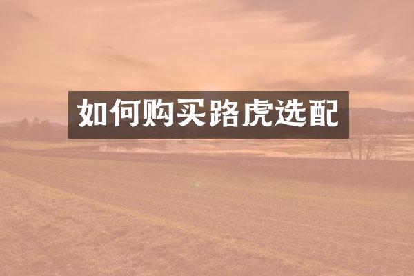 如何购买路虎选配