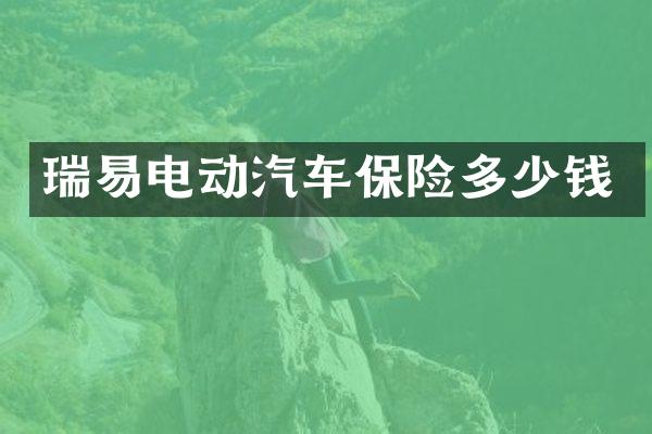 瑞易电动汽车保险多少钱
