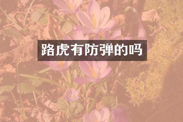 路虎有的吗