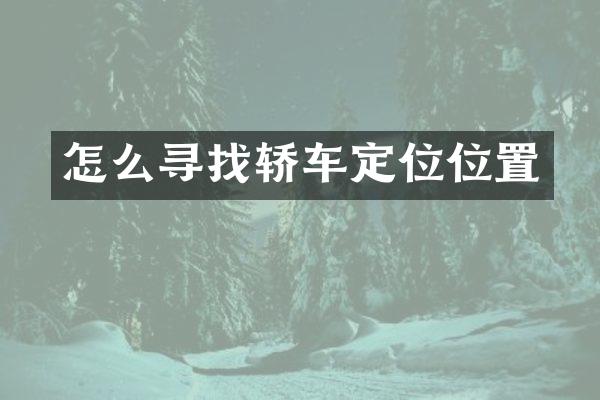 怎么寻找轿车定位位置