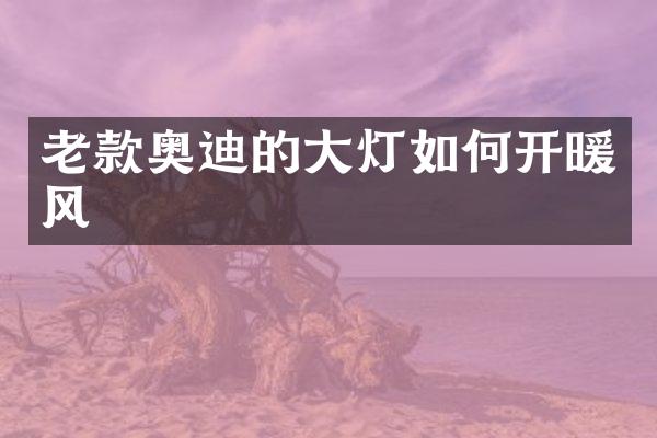 老款奥迪的大灯如何开暖风