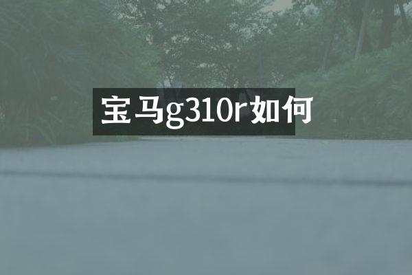 宝马g310r如何