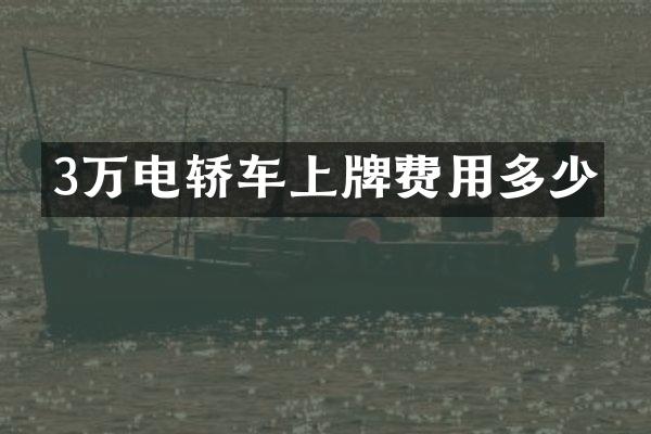 3万电轿车上牌费用多少