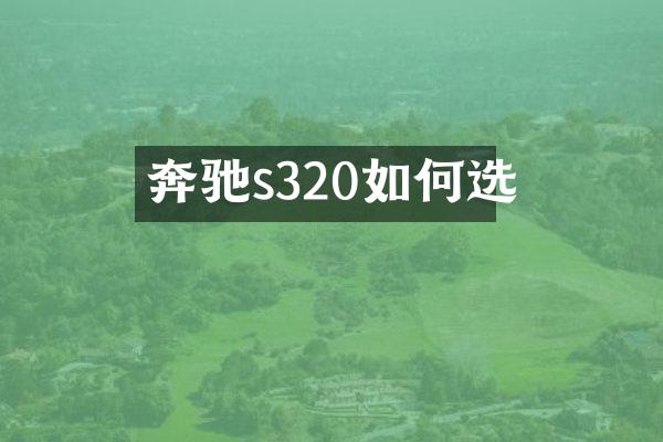 奔驰s320如何选
