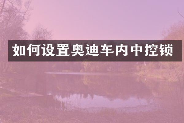 如何设置奥迪车内中控锁