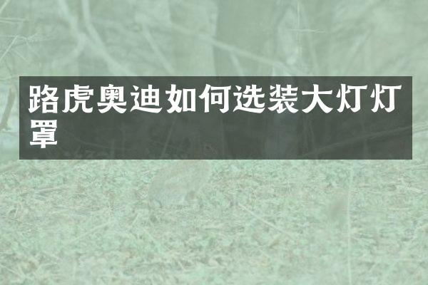 路虎奥迪如何选装大灯灯罩