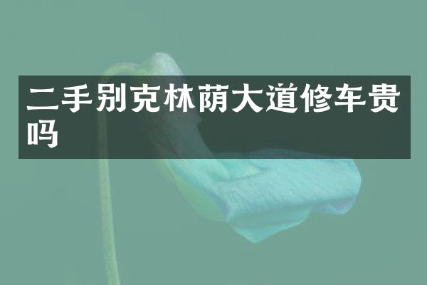 二手别克林荫大道修车贵吗