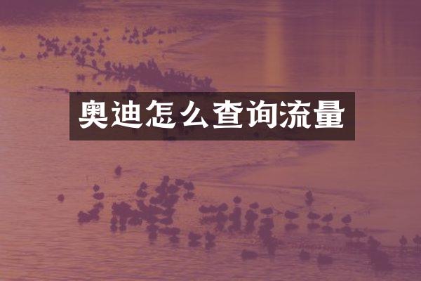 奥迪怎么查询流量