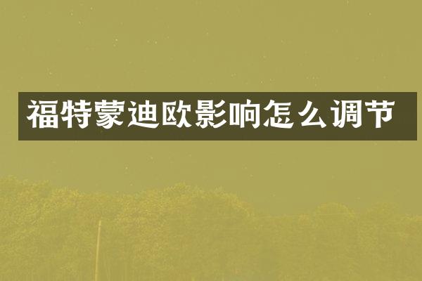 福特蒙迪欧影响怎么调节