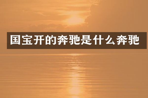 国宝开的奔驰是什么奔驰