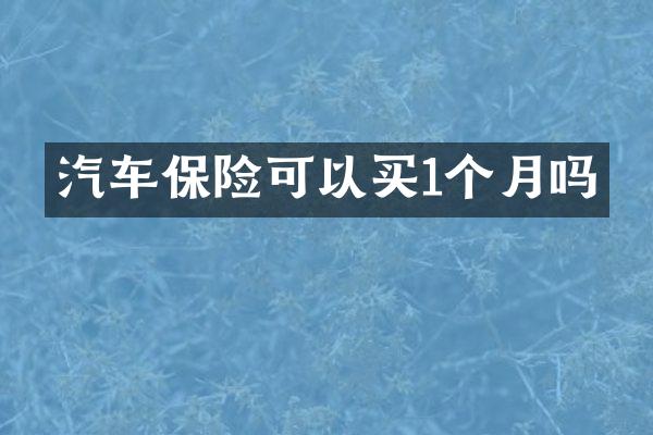 汽车保险可以买1个月吗