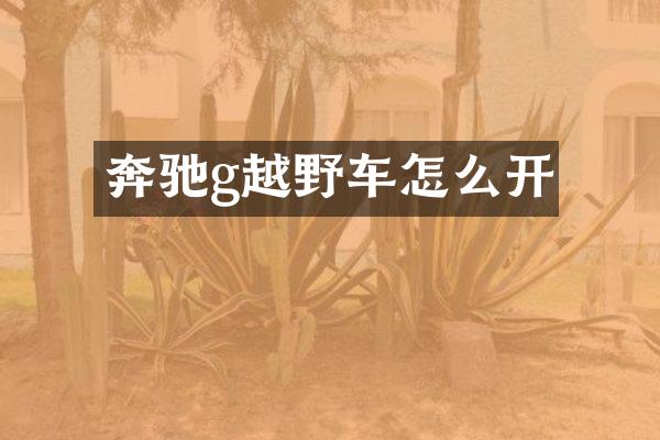 奔驰g越野车怎么开
