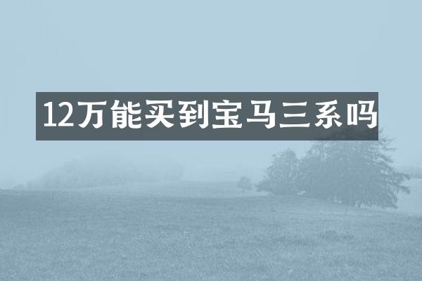 12万能买到宝马三系吗
