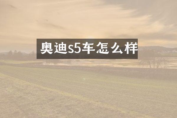 奥迪s5车怎么样