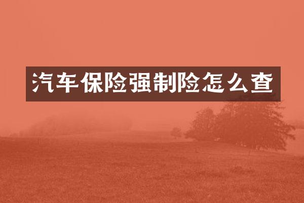 汽车保险强制险怎么查