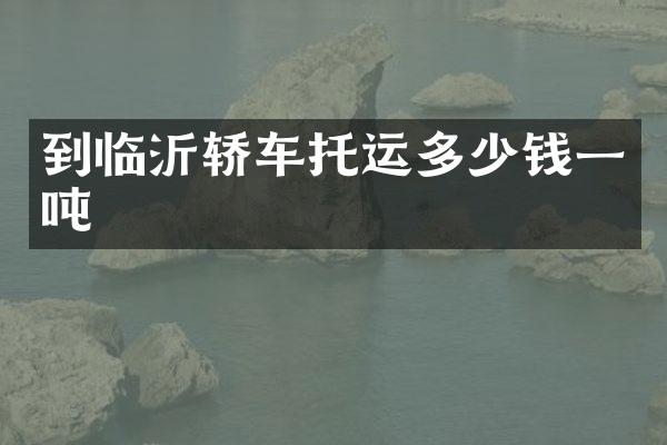 到临沂轿车托运多少钱一吨