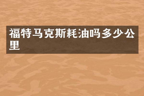 福特马克斯耗油吗多少公里